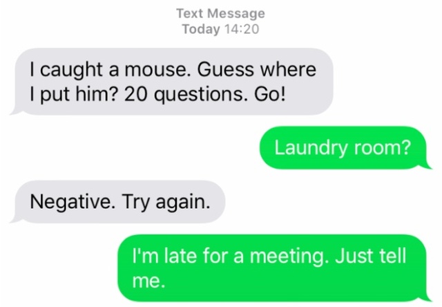 What If Cats Could Text? (18 pics)