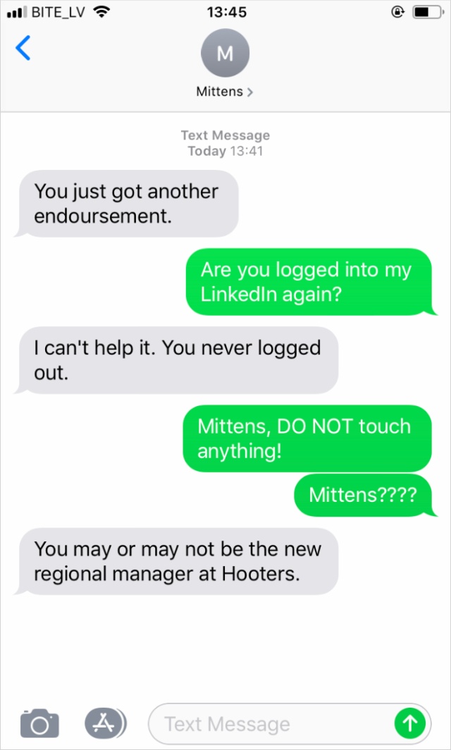 What If Cats Could Text? (18 pics)