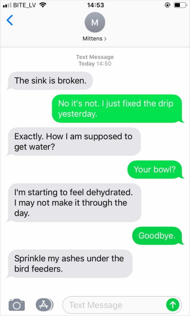 What If Cats Could Text? (18 pics)