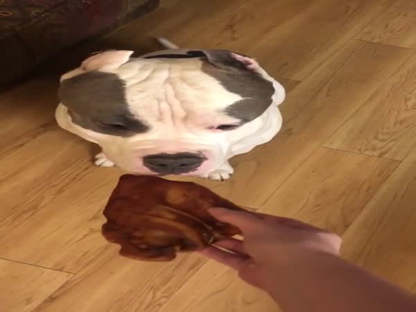 He's So Grateful For Getting One Of His Favorite Snacks