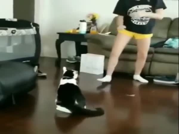Mortal Kombat