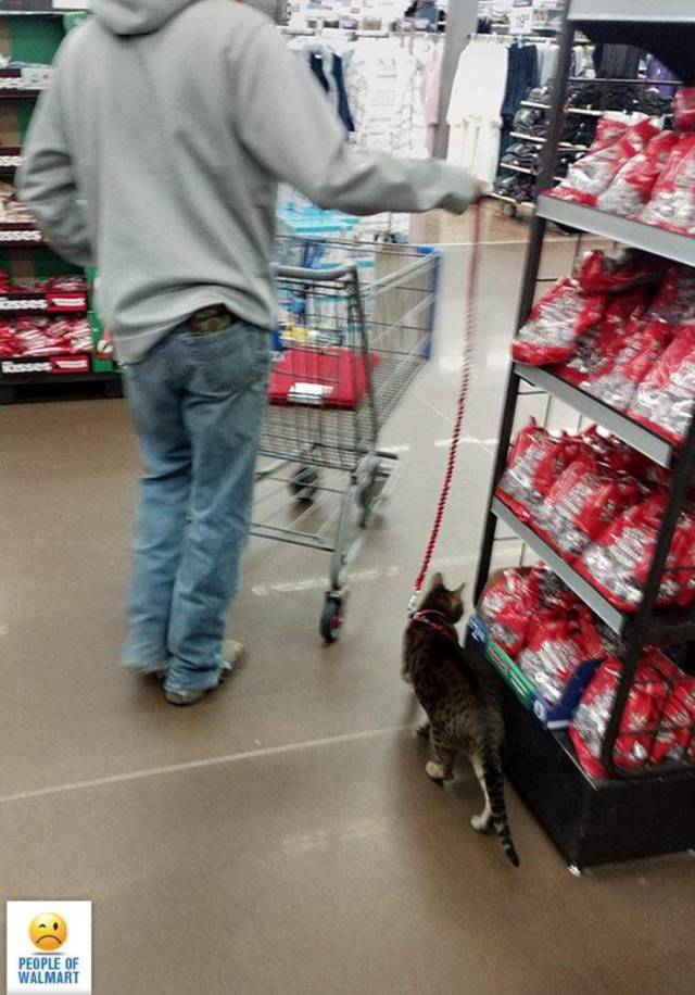 Only In Walmart (37 pics)