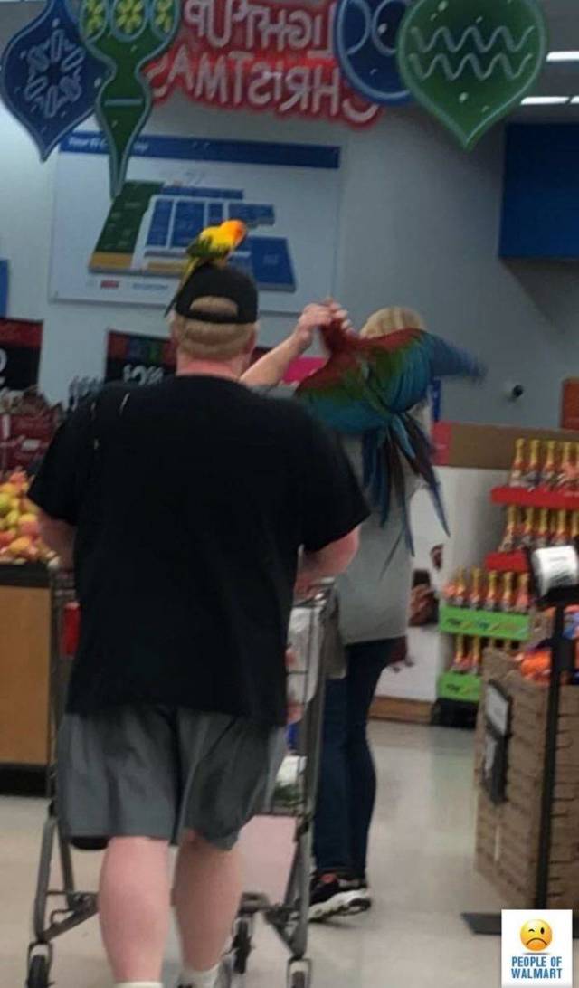 Only In Walmart (37 pics)