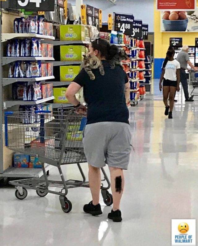 Only In Walmart (37 pics)