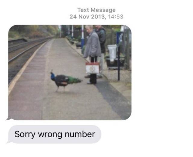 Wrong Number Texts Always Go Wrong (27 pics)