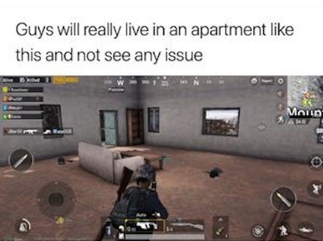 Pictures For Gamers (35 pics)
