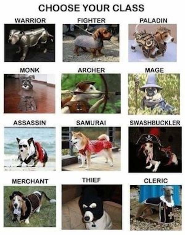 Pictures For Gamers (35 pics)