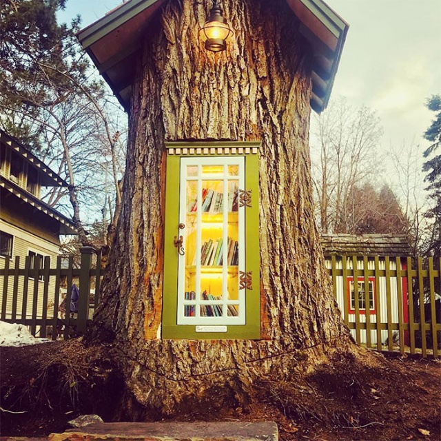 Woman Turned 110-Year-Old Dead Tree Into A Free Little Library (16 pics)