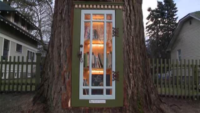 Woman Turned 110-Year-Old Dead Tree Into A Free Little Library (16 pics)