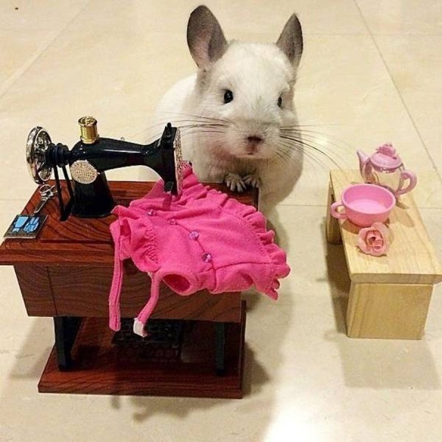 Acid Picdump (90 pics)