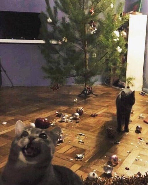 Acid Picdump (90 pics)