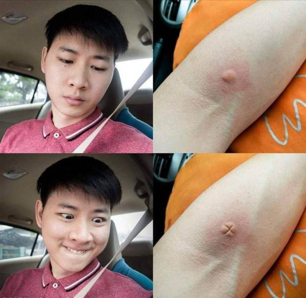 Acid Picdump (90 pics)