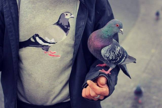 Acid Picdump (90 pics)