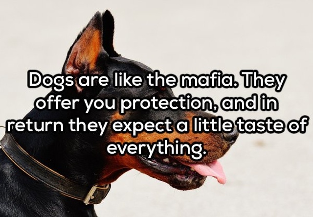 Shower Thoughts (19 pics)