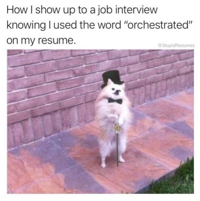 Memes About Work (64 pics)
