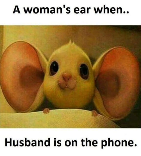 Married life memes. Part 2 (32 pics)