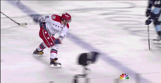 NHL Fails (17 gifs)