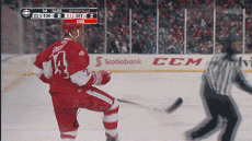NHL Fails (17 gifs)