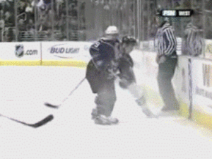 NHL Fails (17 gifs)