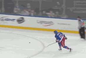 NHL Fails (17 gifs)