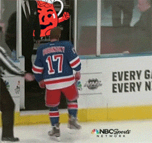 NHL Fails (17 gifs)