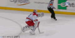 NHL Fails (17 gifs)