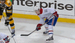 NHL Fails (17 gifs)