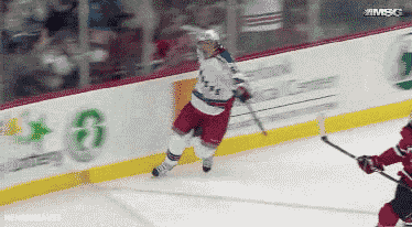 NHL Fails (17 gifs)