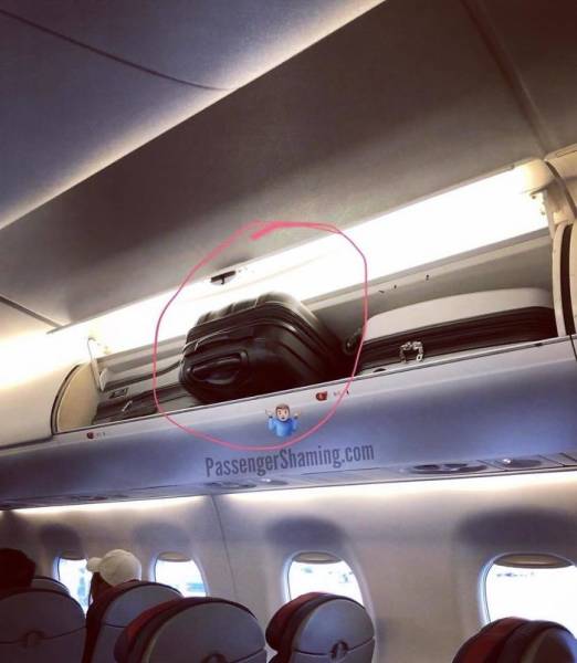 Very Bad Passengers (26 pics)