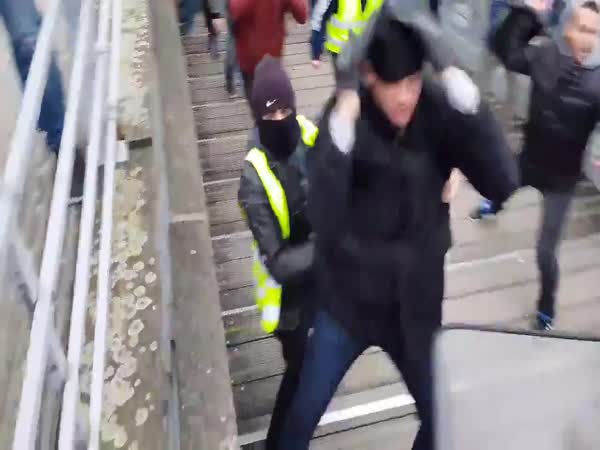 French Fists Vs French Shield