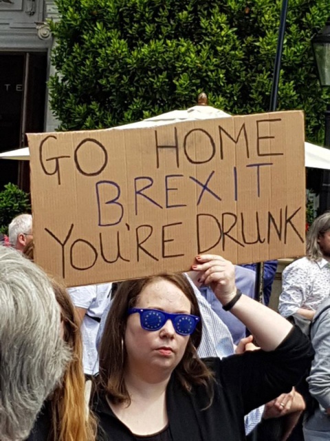 The Funniest Anti-Brexit Protest Signs (20 pics)