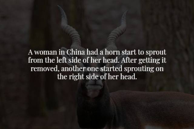 Scary Facts (17 pics)