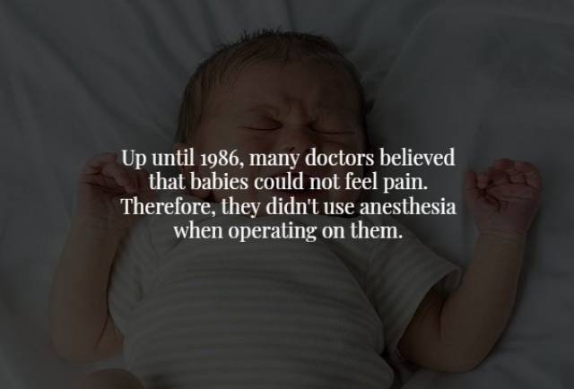 Scary Facts (17 pics)