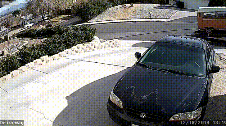 Acid Gifdump, January 15 (25 gifs)