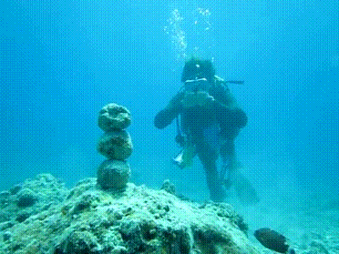Acid Gifdump, January 15 (25 gifs)