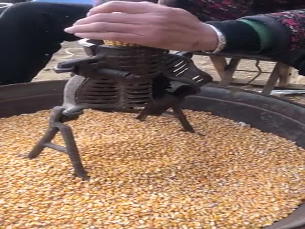 Corn With A Twist
