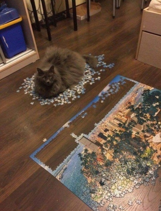 Acid Picdump (93 pics)