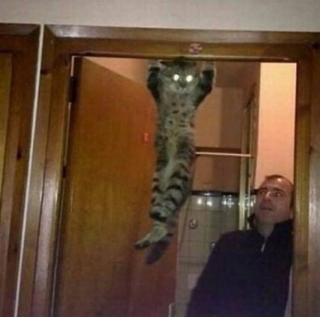 Acid Picdump (93 pics)