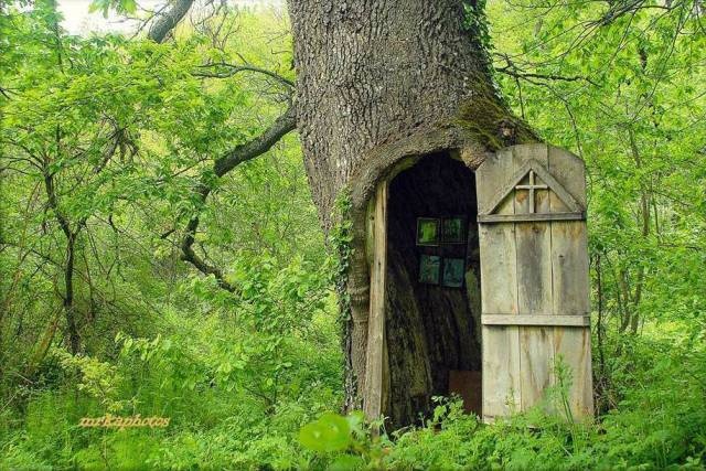 Acid Picdump (93 pics)