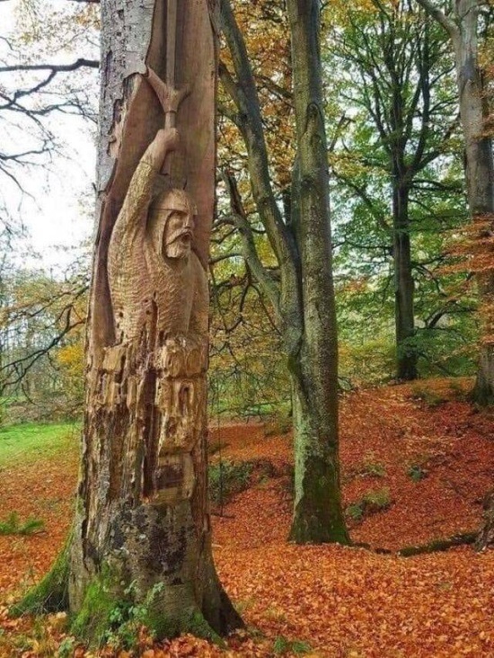 Acid Picdump (93 pics)