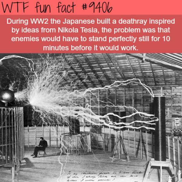 WTF Facts? (59 pics)