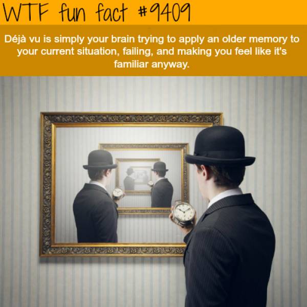 Image result for WTF FACT