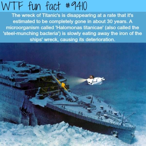 WTF Facts? (59 pics)