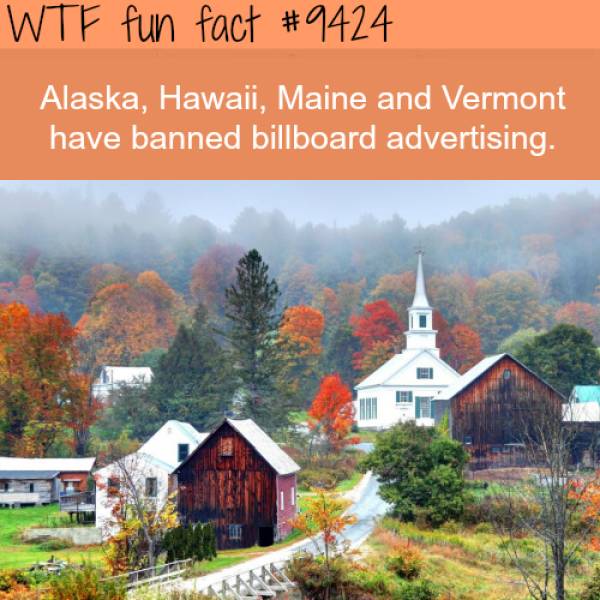 WTF Facts? (59 pics)