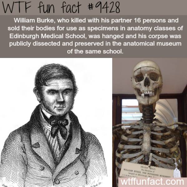 WTF Facts? (59 pics)