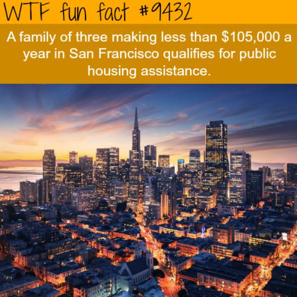 WTF Facts? (59 pics)