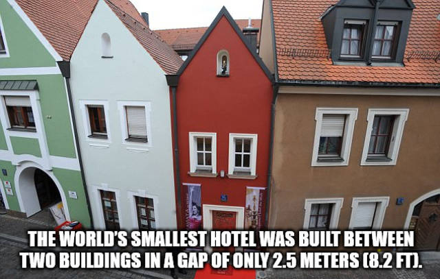 WTF Facts? (59 pics)