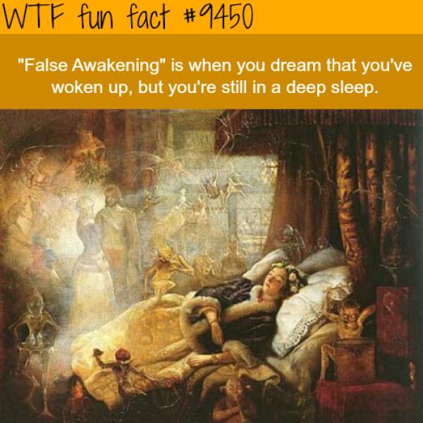 WTF Facts? (59 pics)