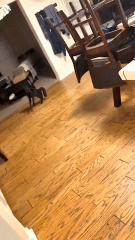 Acid Gifdump, January 16 (25 gifs)