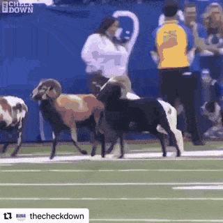 Acid Gifdump, January 16 (25 gifs)
